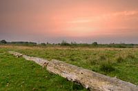 sunset in nature