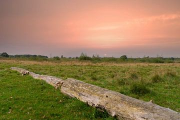 coucher de soleil dans la nature sur Gaby Jonker