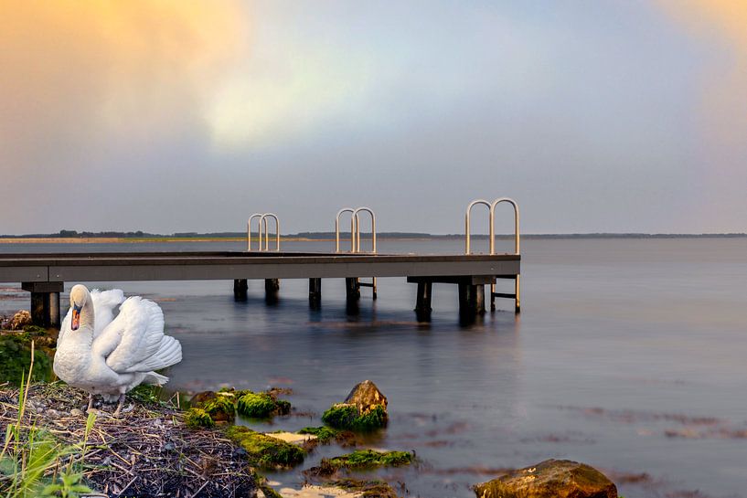 Jetée de baignade Ouddorp par Angelique Niehorster