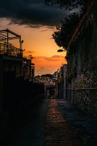 Sunset Lover's