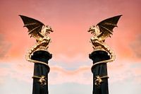 The Dragon Fountain in 's-Hertogenbosch - double trouble