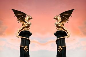Den Drachenbrunnen in 's-Hertogenbosch
