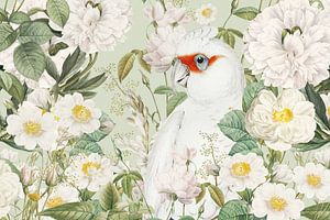 a Hidden Cockatoo by Marja van den Hurk