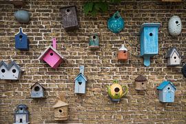 birdhouses