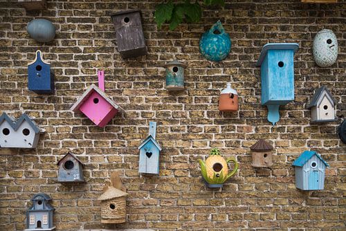 birdhouses
