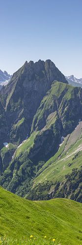 In de schaduw van de koningin - een zomerse dag op de Höfats