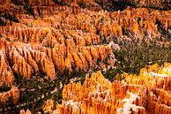 Landschap Amfitheater met Hoodoos in Bryce Canyon National Park Utah USA van Dieter Walther thumbnail