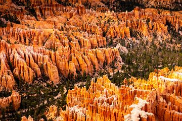 Landscape Amphitheater with Hoodoos in Bryce Canyon National Park Utah USA by Dieter Walther