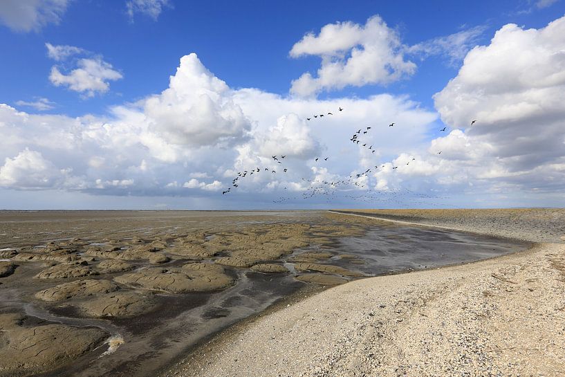 Gänse über dem trockenen Wattenmeer von Anja Brouwer Fotografie