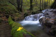 Wonderful waterfalls by René Pronk thumbnail