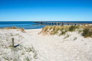 Seebrücke an der Ostseeküste in Wustrow