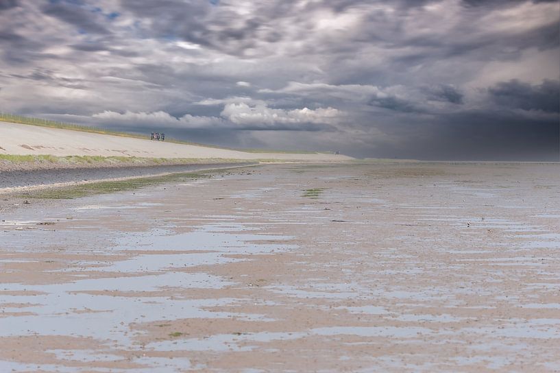 Ebb On the coast with the dike by Brian Morgan