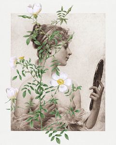 The Mirror