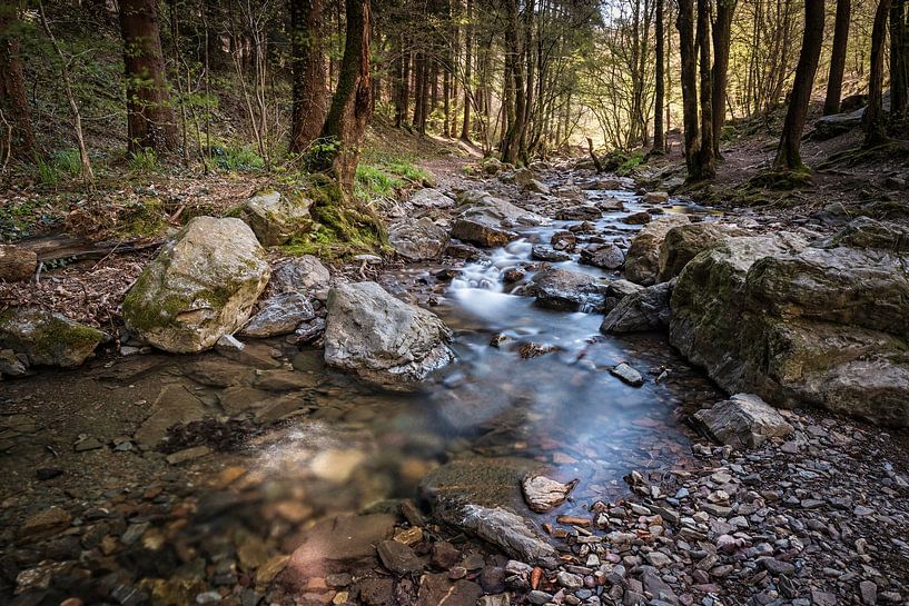 Ninglinspo van Rob Boon