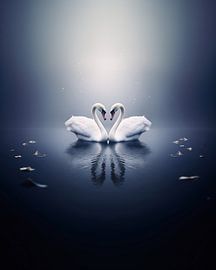 Aesthetic minimalism