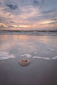 Am Strand, Wellen schöner Himmel und eine Qualle