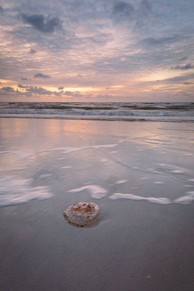 Am Strand, Wellen schöner Himmel und eine Qualle von KB Design & Photography (Karen Brouwer)