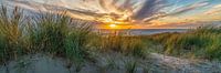 sunset on the dunes and the North Sea