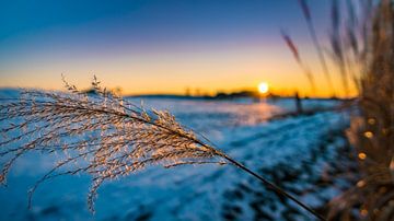 Zonsondergang in de winter van MindScape Photography