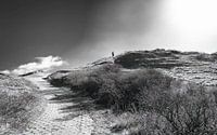 Duinovergang texel van Peter Smeekens thumbnail