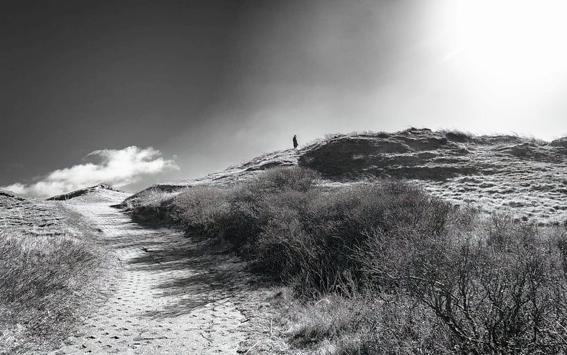 Duinovergang texel van Peter Smeekens