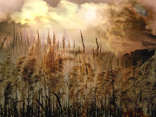 Erinnerung an einen Traum