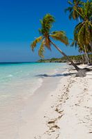 Exotic beach