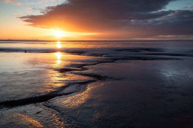 Das Wattenmeer erwacht von Peter Kuipers