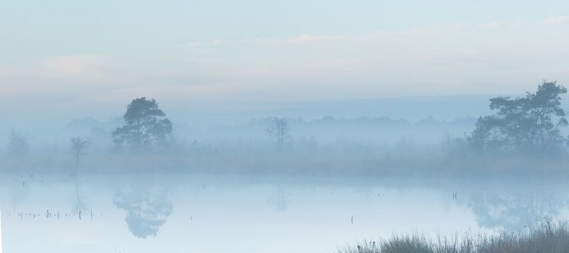 Mist in de vroege ochtend over het water par Art Wittingen