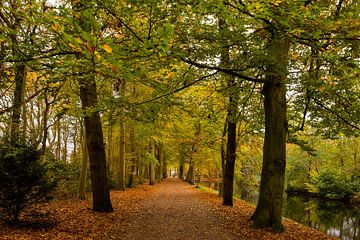 't Oude Hof in Bergen with trees in autumn colours