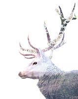 Posbank Deer