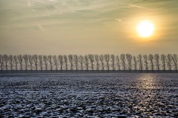 Zonnig winterlandschap van Jan Sportel Photography