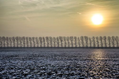 Zonnig winterlandschap