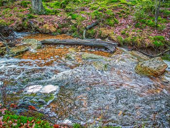 Rustig Stromend River Waar je Uren Naar Kan Kijken