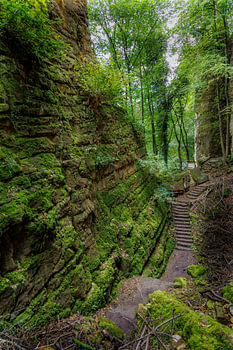 Wandelen via de Müllerthal Trail