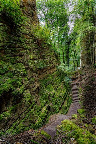 Wandelen via de Müllerthal Trail