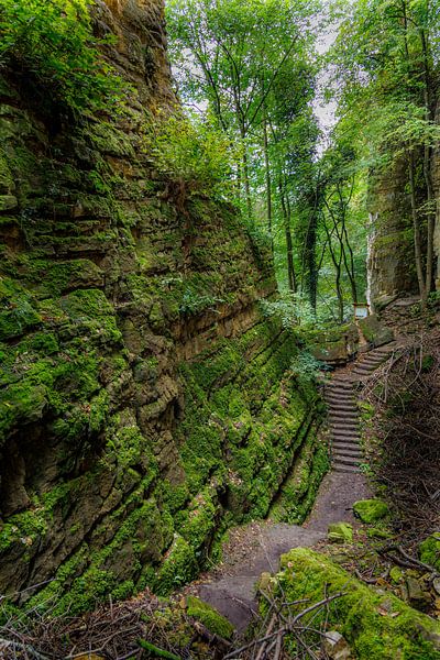 Wandelen via de Müllerthal Trail van Patrick Fotografeert