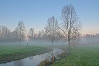 Oude Kalebeek op een mistige avond