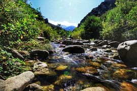 The stream by Maurice Hoogeboom