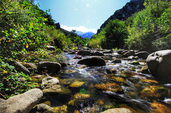 The stream