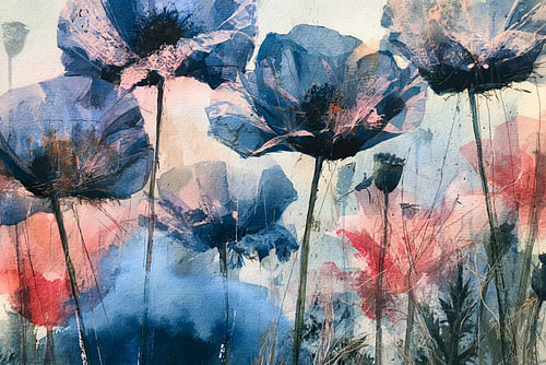 Wo wilde Blumen weiter träumen wollten von But First Framing