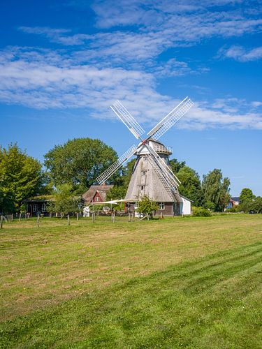 Oostzee - De windmolen in Ahrenshoop