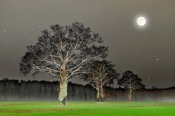 Landscape with oaks and full moon by Corinne Welp