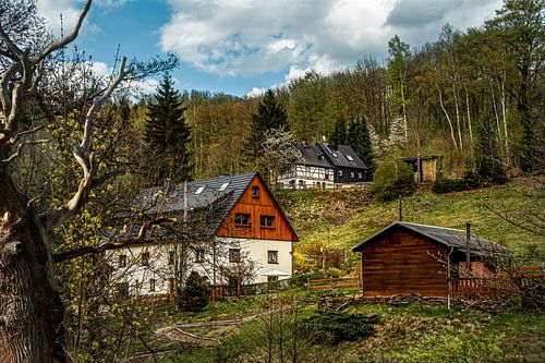 In de Zwarte Watervallei in het Ertsgebergte