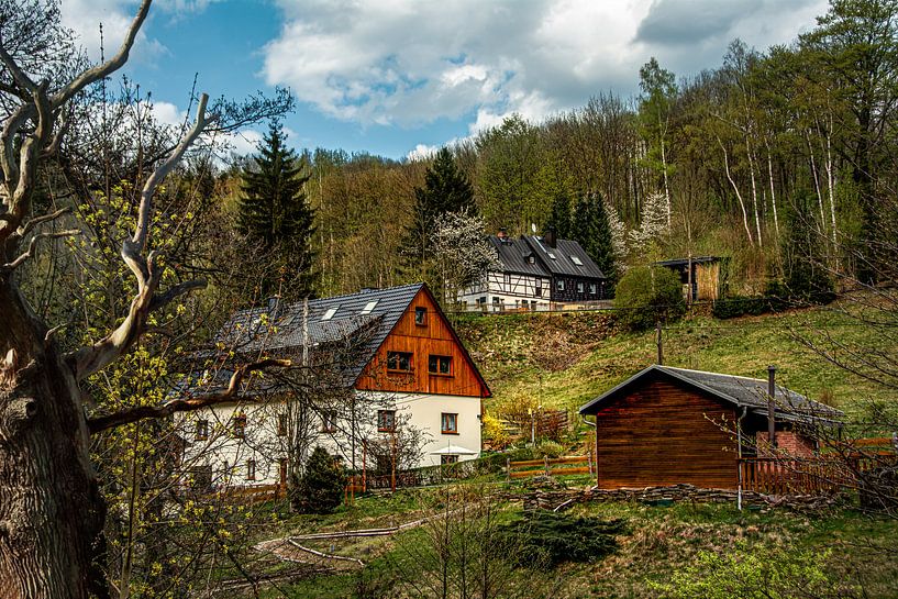 Im Schwarzwassertal im Erzgebirge von Johnny Flash