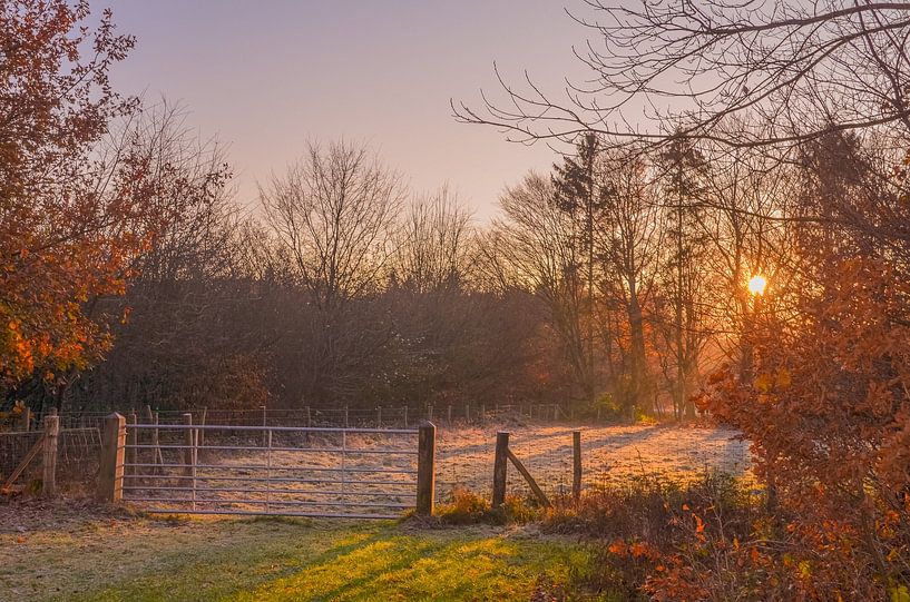 Frozen Evening Sun 1. Golden Hour Winter. by Through Kristels Lens