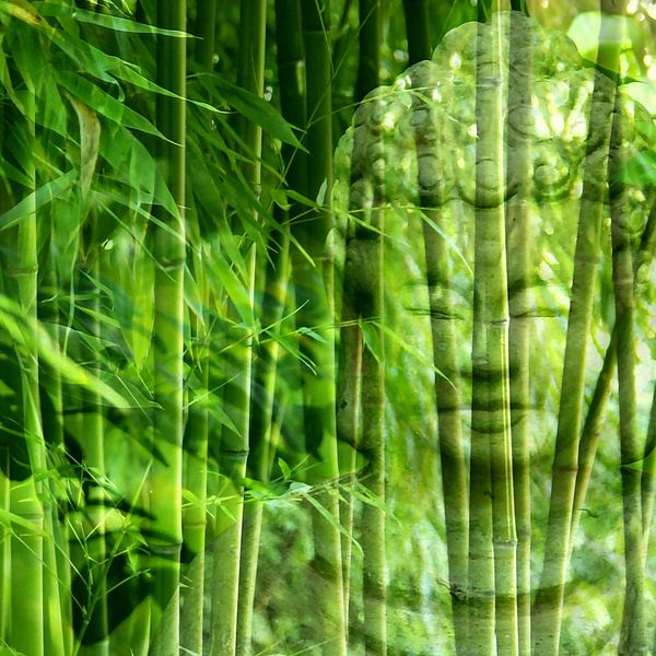 Buddha von Gabi Siebenhühner