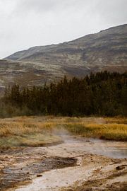 Nature portrait in Iceland
