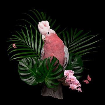 Pink cockatoo among tropical greenery by Elles Rijsdijk