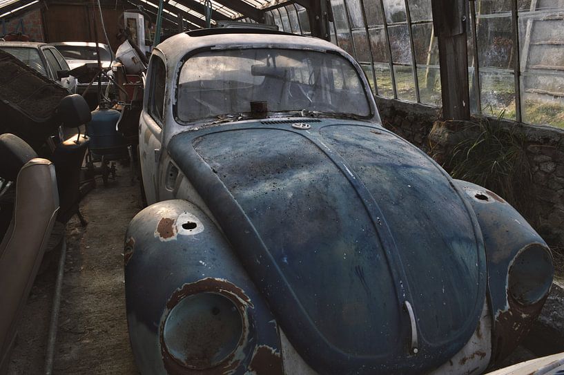 volkswagen beetle by romario rondelez